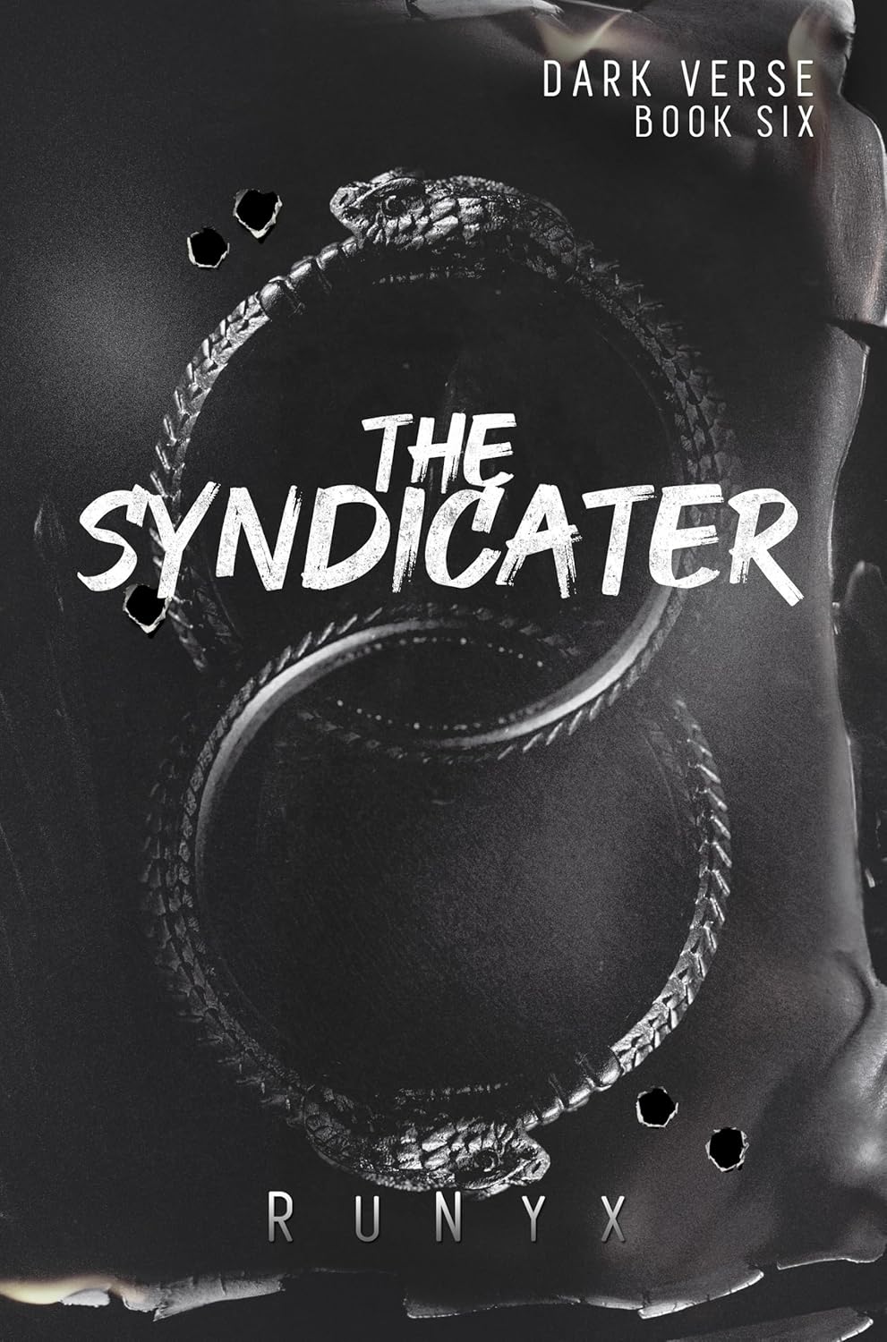 The Syndicater: A Dangerous Dark Romance (Dark Verse)